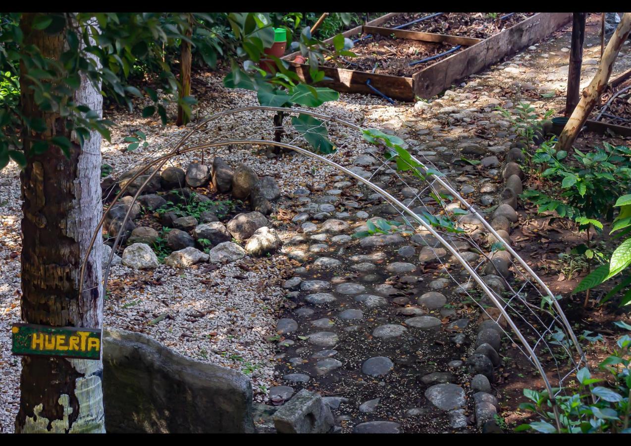 Villas Pura Vibra Potrero  Εξωτερικό φωτογραφία