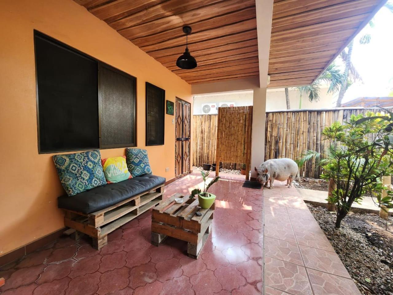 Villas Pura Vibra Potrero  Εξωτερικό φωτογραφία